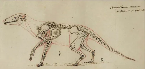 喬治·居維葉發現了不同層的化石，例如含有古獸和無獸（如圖）的化石，這使他相信一系列災難性事件毀滅了現代世界之前的世界。