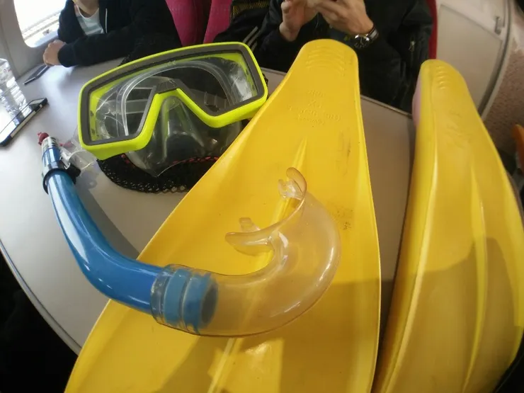 雖然套裝方案有送蛙鏡蛙鞋,但是四月水還是太冷了我沒有下水XD,不過澳洲人都游得很開心。