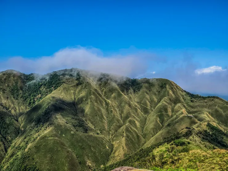 二訪烘聖緃走。抺茶山和記憶中的一樣漂亮