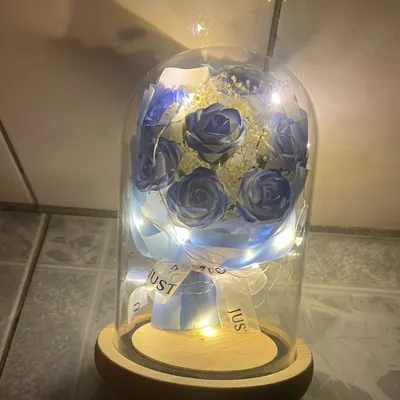 太陽的活動軌跡