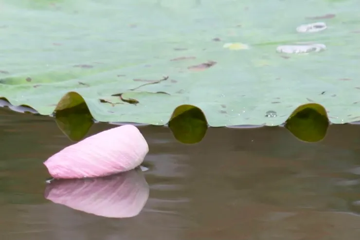 她落下了,卻還能承接時間與水。