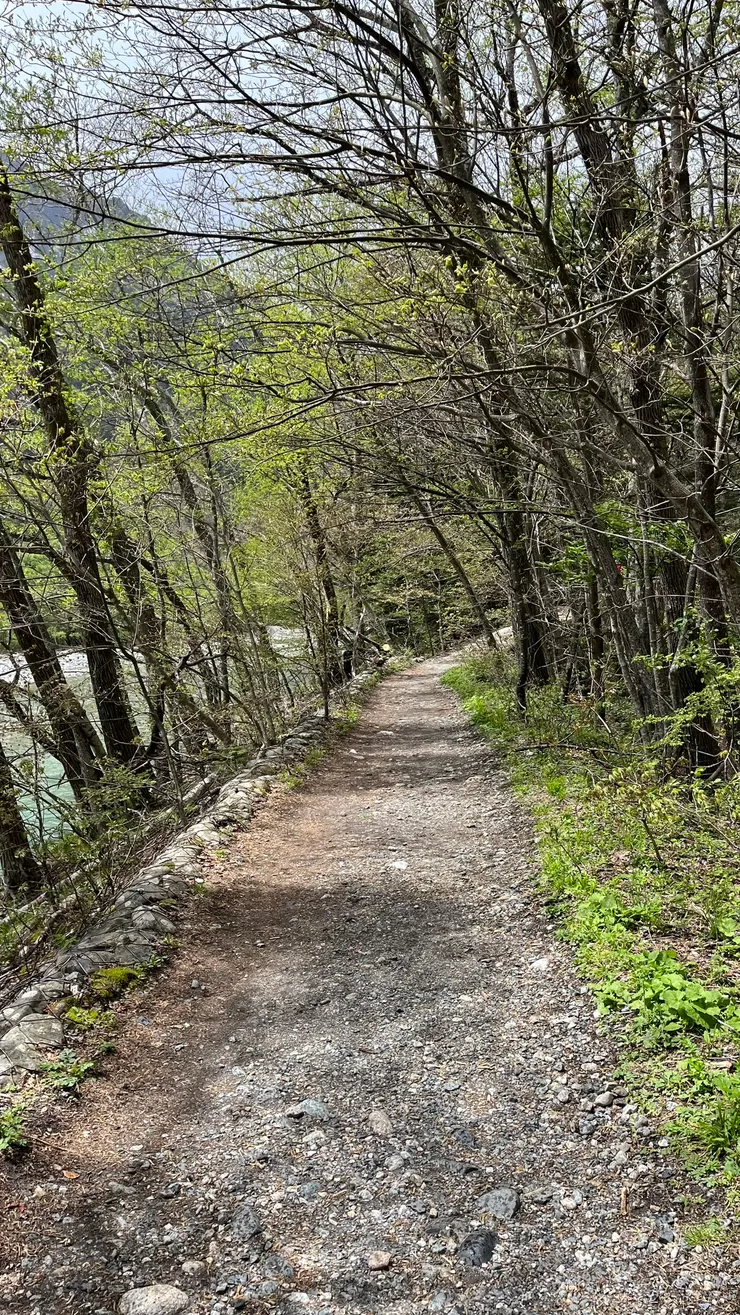 同樣是很悠閒的步道。