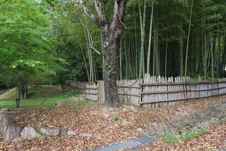 觀音寺城跑得很趕，就拍了這張。