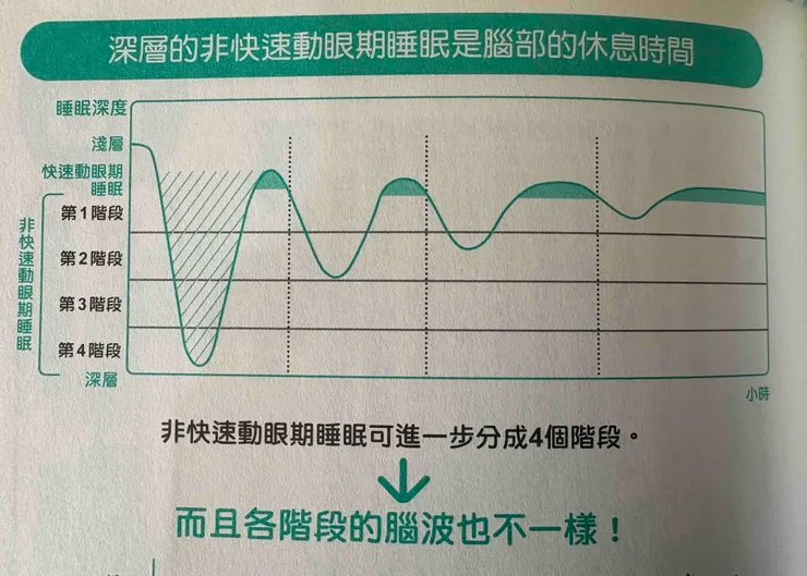 非快速動眼期,由淺至深,分為1-4階段