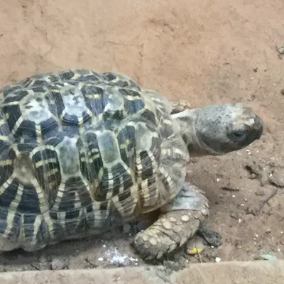 願長夜中有光的沙龍
