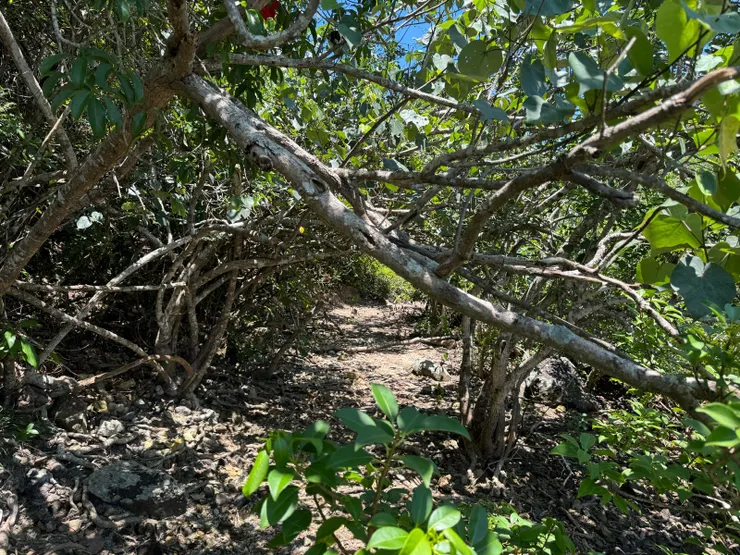 進入荒徑後，路況更加難行，要放慢速度走，安全爲上。