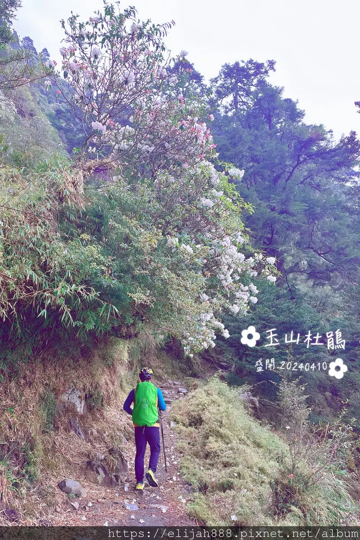 【玉山主峰西峰.兩天兩夜】南投縣信義鄉的望鄉部落艾度民宿/塔