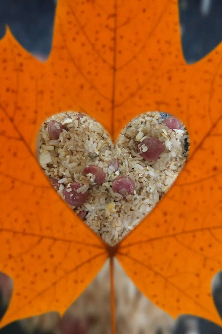 麻油少許洋蔥香腸蛋炒飯🥚🍚