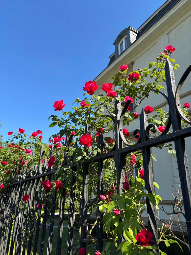 這幾張圖其實都不在愛爾蘭😅