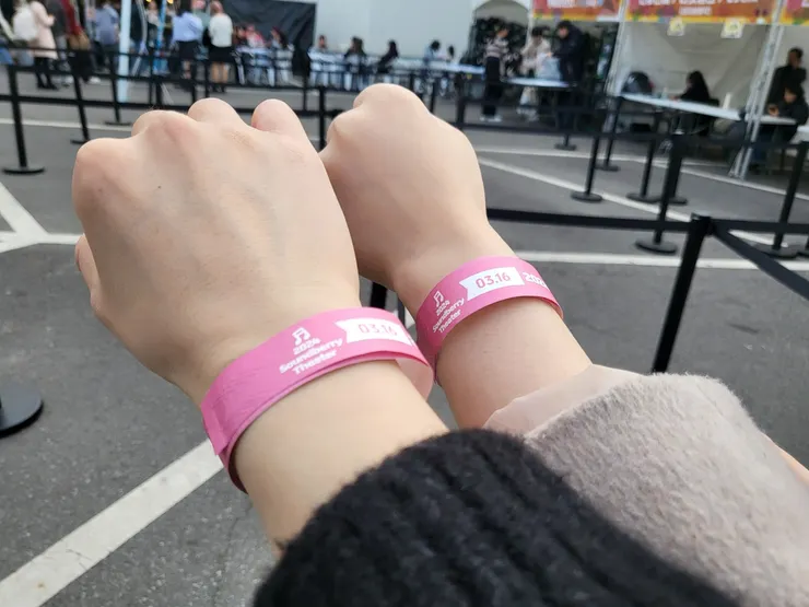 2024 Soundberry Festa 入場手環