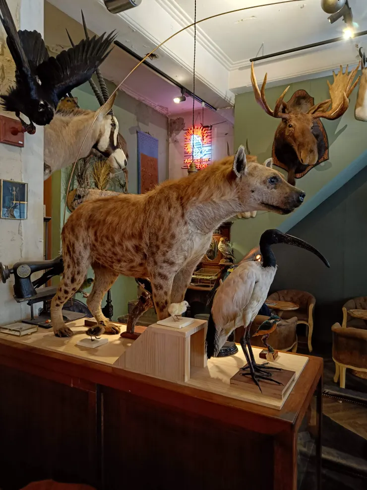 用標本打造出一個特別的空間