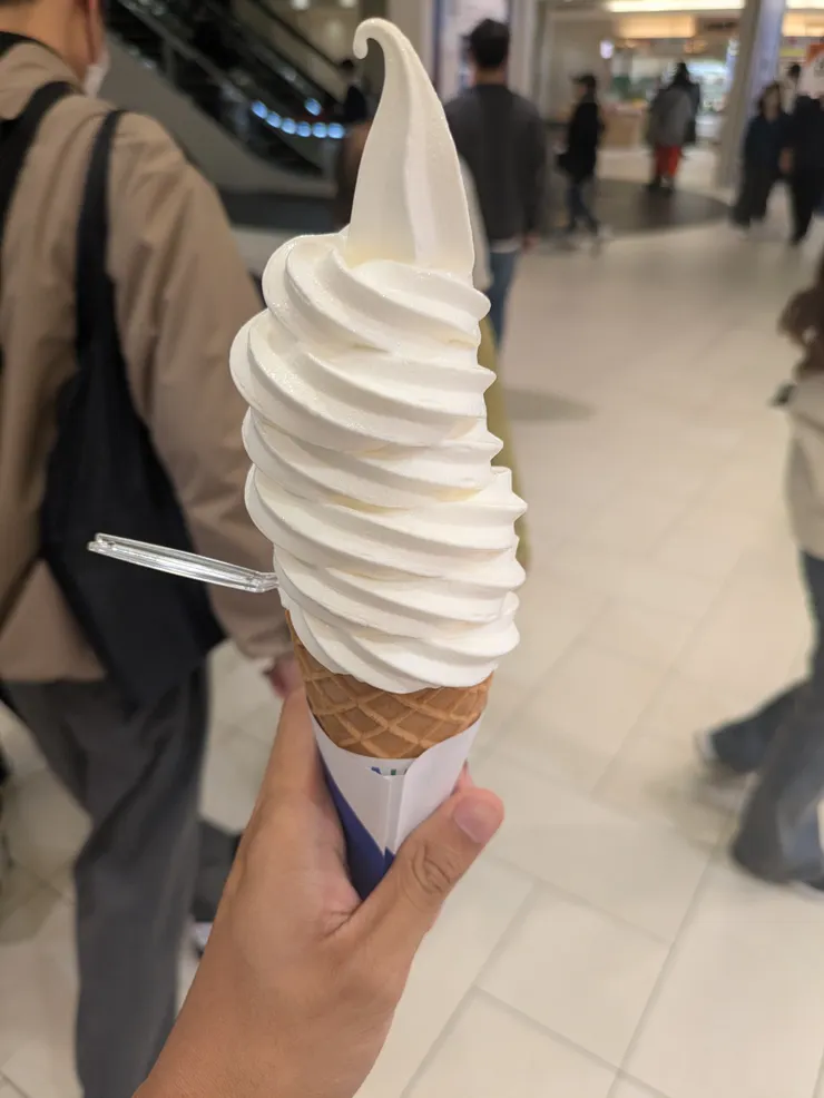 新千歲機場霜淇淋評選 濃郁系列第一名：KINOTOYA