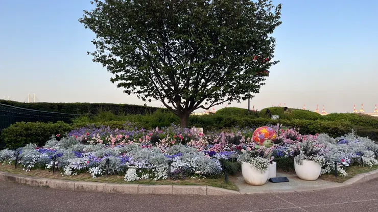 有大量花卉是公園的特色。