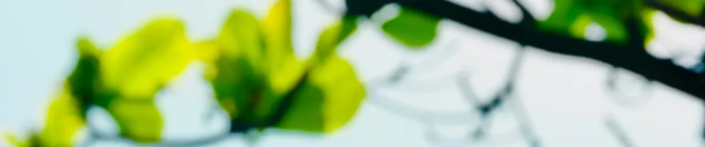 氣泡水《用照片影像聊聊天》