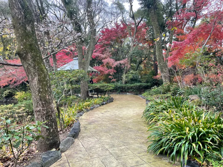 院子帶一點楓葉很有詩意