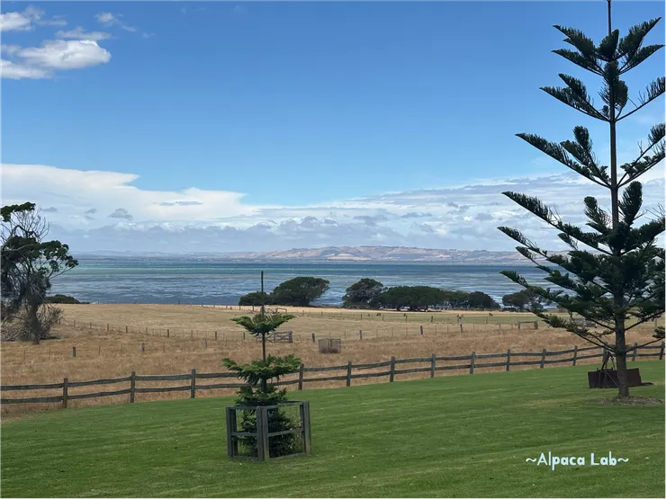 這個景色,生活在這也太幸福