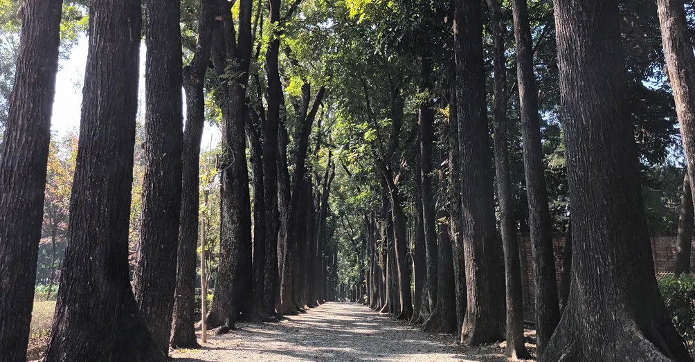 J.C（秋和）的沙龍