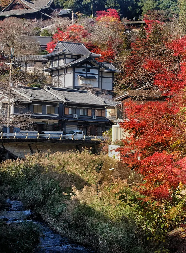 前往長谷寺的路上，便能看到好看的楓紅
