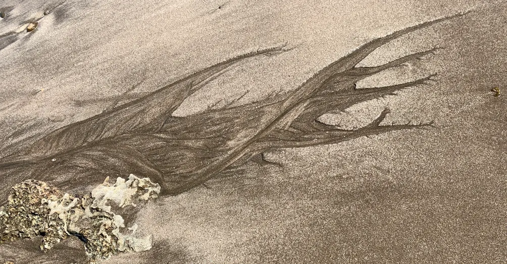 Christine Lee 的藝術沙龍