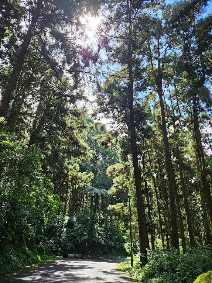 人很煩的時後，我喜歡一個人跑去溪頭，但是現在人都很多