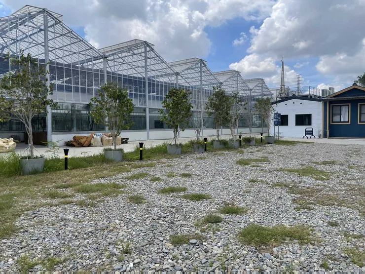 AI加上「可可」迸出新花樣　振興鄉鎮、帶給偏鄉孩童愛與永續的希望