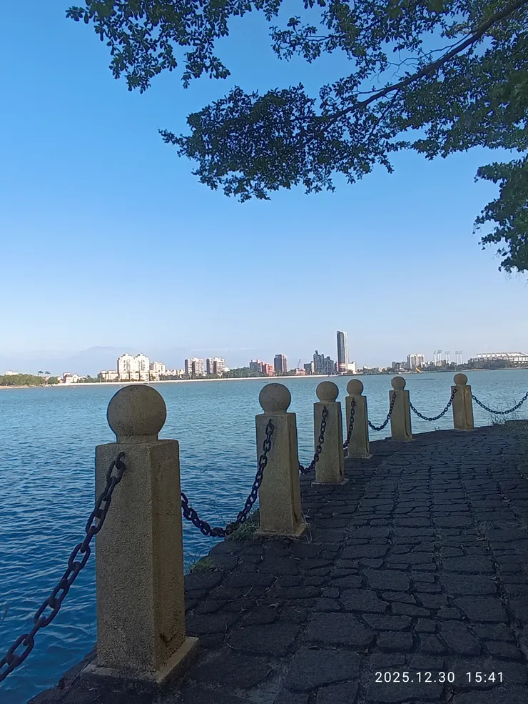 情安在唯有闌干