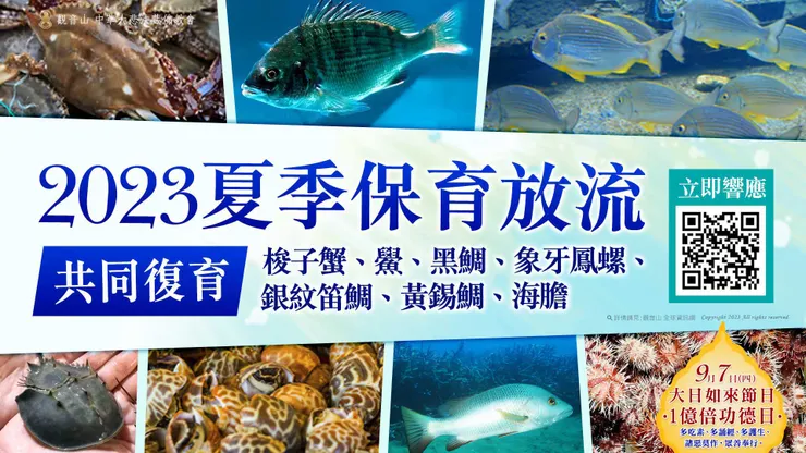 夏季 愛護海洋‧保育放流活動