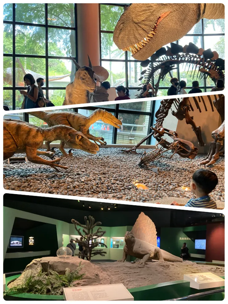 必看的超擬真會動的恐龍就在生命科學廳裡喔！