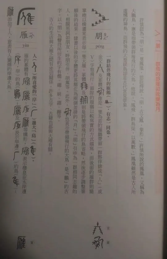 「朋」是並列飛行的大雁