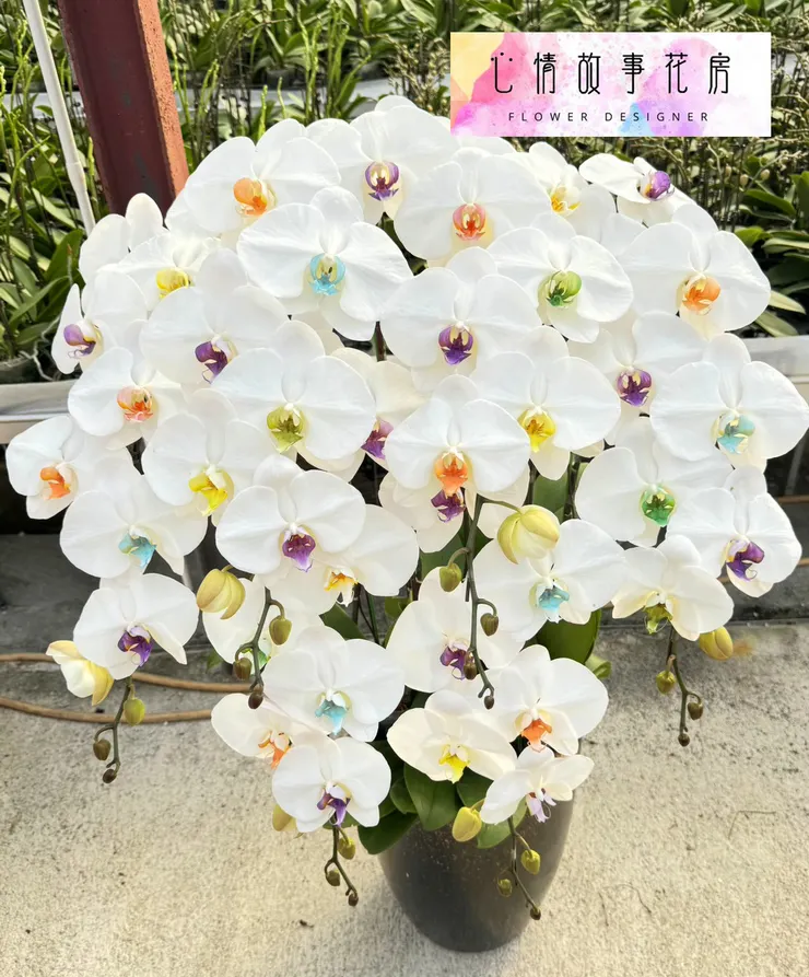 台南心情故事花房｜長花梗高級蘭花正式進軍送禮市場，為高級場所與尊貴人士打造專屬花藝禮品