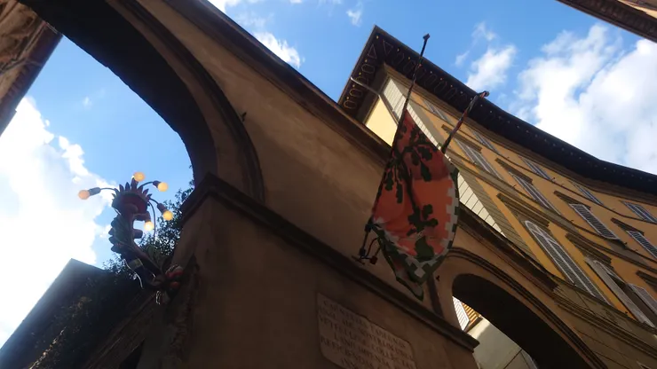 Photo: Zora @ Siena, Italy. Aug 24, 2024.