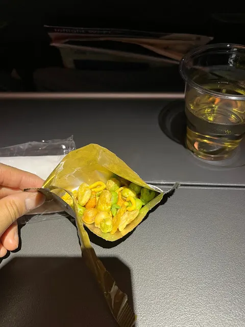 飛行日記(57) 新加坡航空 台北TPE - 新加坡SIN SQ879