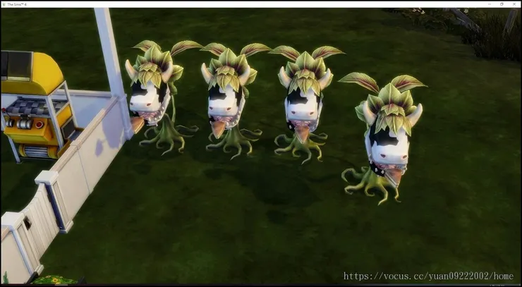 一次吐四個蛋糕🤣🤣🤣黑寡婦最佳利器!