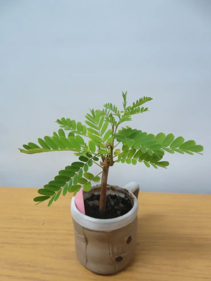 中山社大112.03.23