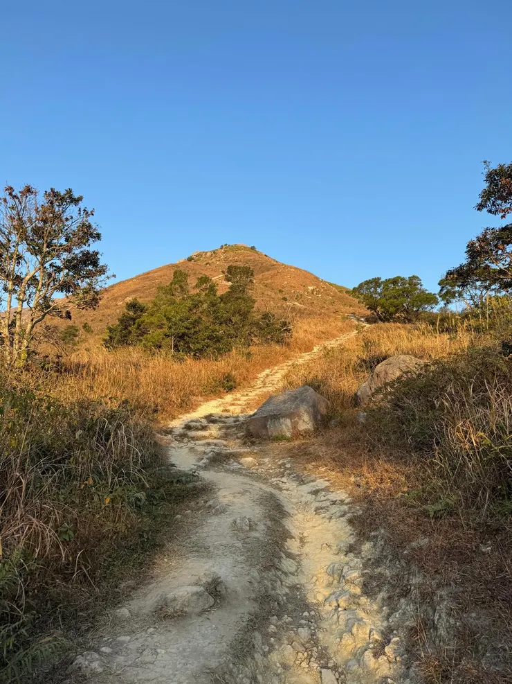 每次以為走完，又有新起點