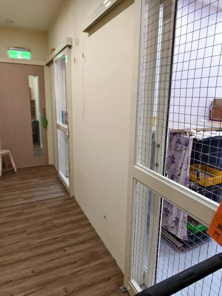 中和動物之家一隅