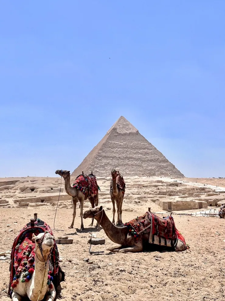 圖片由 Eveyln 提供