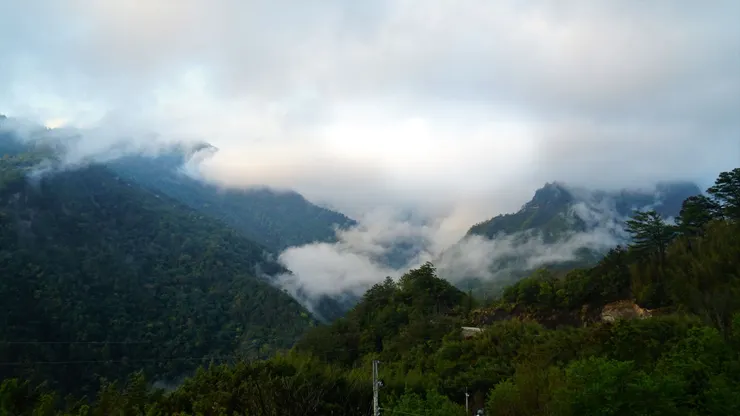 對面的鎮西堡路燈還亮著