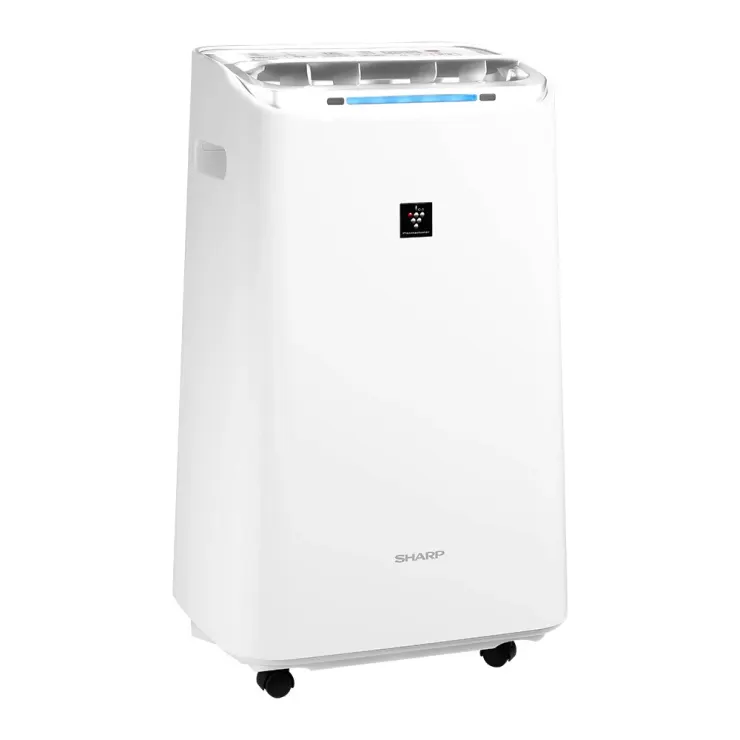 SHARP夏普 12L自動除菌離子衣物乾燥除濕機 DW-LT12ST-W