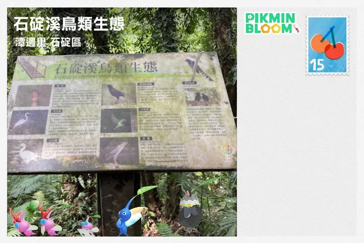 圖10 皮皮幫我收集的明信片~石碇溪的鳥類生態