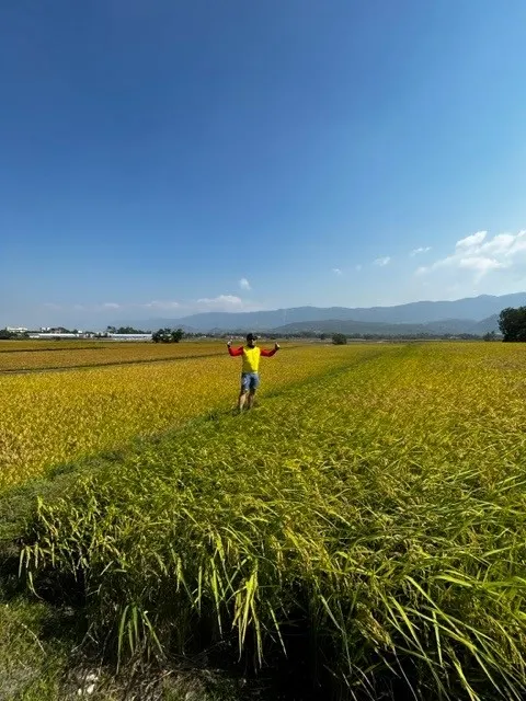 大片的稻田與渺小的我