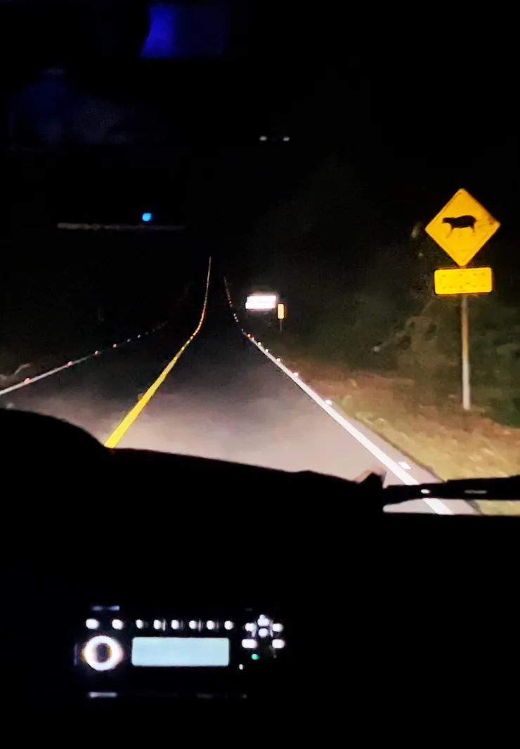 半夜的提卡爾路上。一台車加司機共7人。