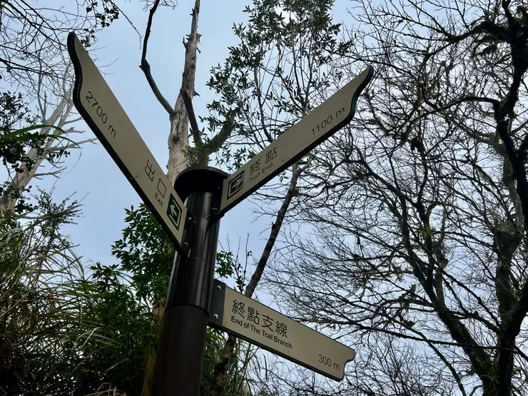 2700公尺左右會出現一個三向的路口以及指路牌，途中遇見的山友建議我們可以走「終點支線300ｍ」那條。雖然路還是會接在一起，總長度不變，但聽說這條路比較好走。