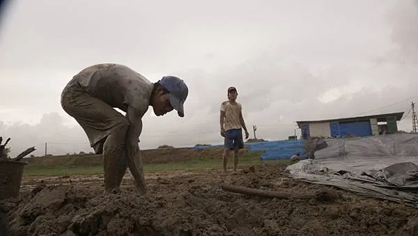 （《鑽石水族世界》電影劇照）