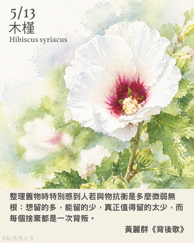 木槿×黃麗群《背後歌》