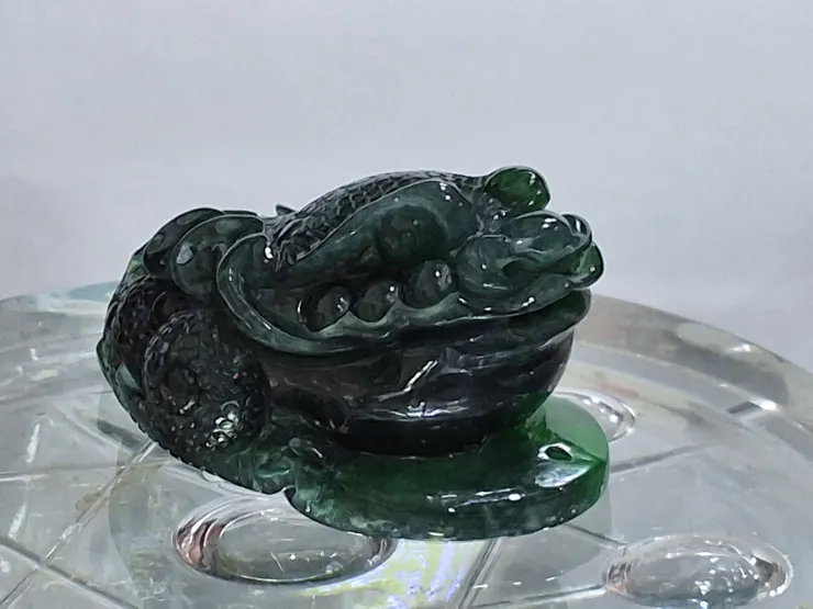 瓜地馬拉翡翠三角蟾蜍