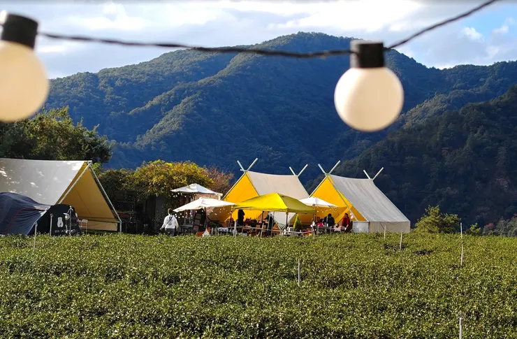 自由不是擁有多少錢，而是擁有不被冒犯與選擇的能力