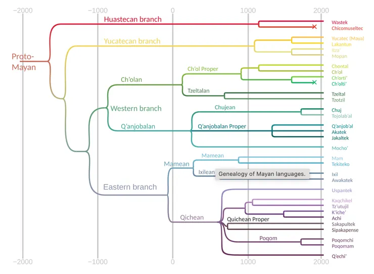 馬雅語系演化樹狀圖