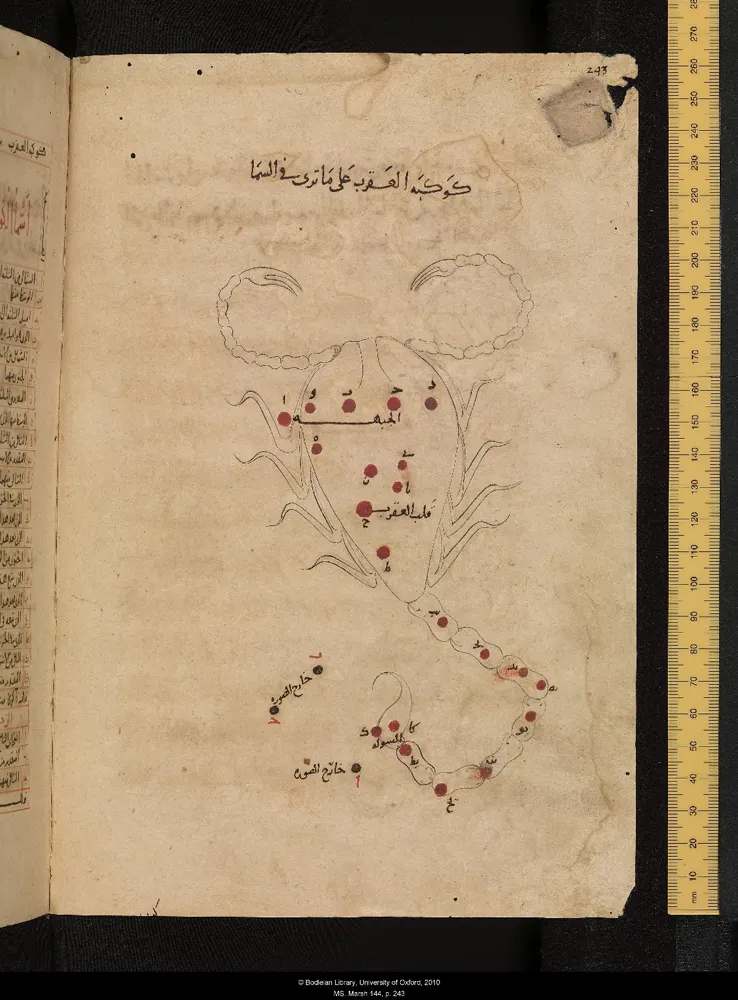 古書裡的天蠍座