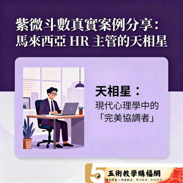 飛星四化紫微斗數教學：第5堂課程支援型與合作型星曜！紫微斗數十四主星（下）